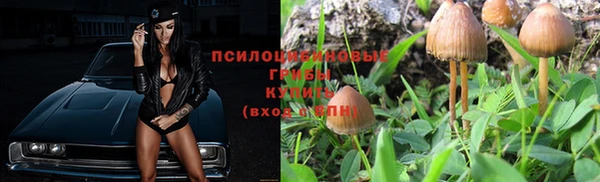мяу мяу мука Верхний Тагил