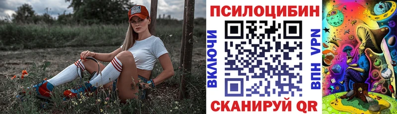 Купить где  Венёв  Псилоцибиновые грибы GOLDEN TEACHER 